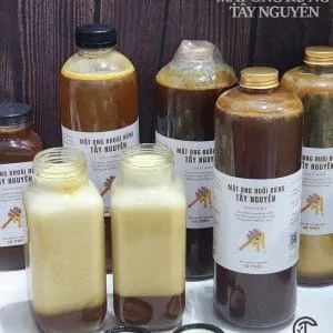 Mật ong ruồi rừng sủi bọt - mật ong rừng tây nguyên