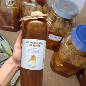 mat-ong-ruoi-rung-tay-nguyen