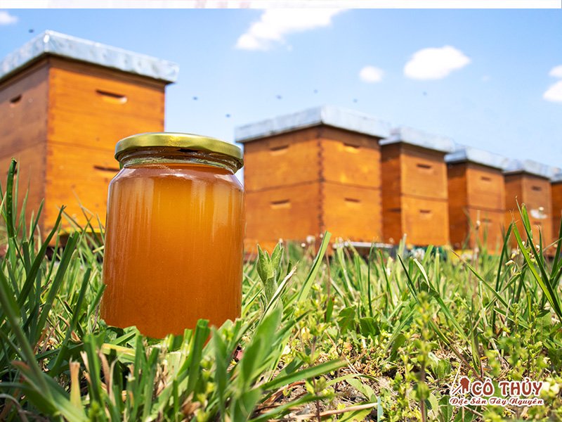 Tác dụng của mật ong nguyên chất 