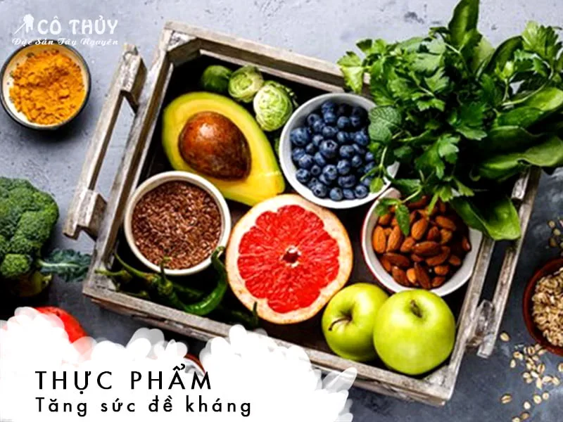 Các loại thực phẩm tăng sức đề kháng tự nhiên Các loại thực phẩm tăng sức đề kháng tự nhiên
