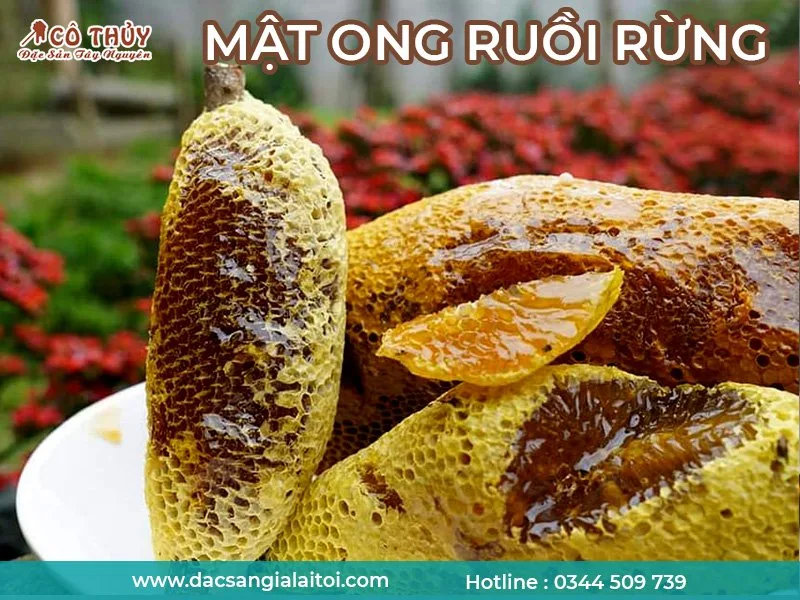 Mật ong ruồi rừng tự nhiên Mật ong ruồi rừng tự nhiên