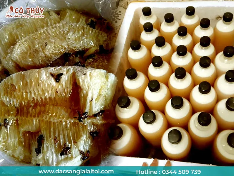 Nơi bán mật ong rừng uy tín tại Việt Nam Nơi bán mật ong rừng uy tín tại Việt Nam