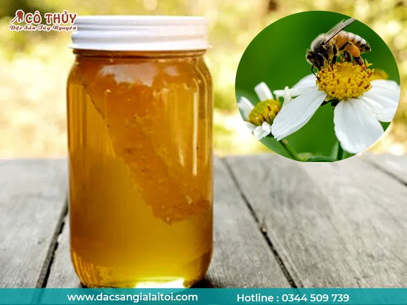 Mật Ong Hoa Rừng Tự Nhiên Gia Lai