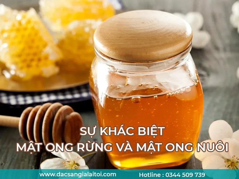 Sự Khác Biệt MẬT ONG RỪNG VÀ MẬT ONG NUÔI Nhân Tạo Sự Khác Biệt MẬT ONG RỪNG VÀ MẬT ONG NUÔI Nhân Tạo