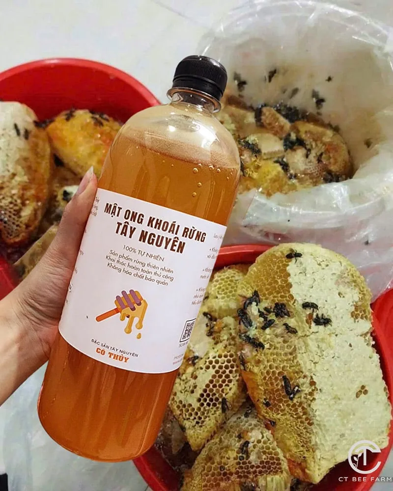 Mật ong khoái rừng vắt từ tổ ong khoái 100% tự nhiên Mật ong khoái rừng vắt từ tổ ong khoái 100% tự nhiên