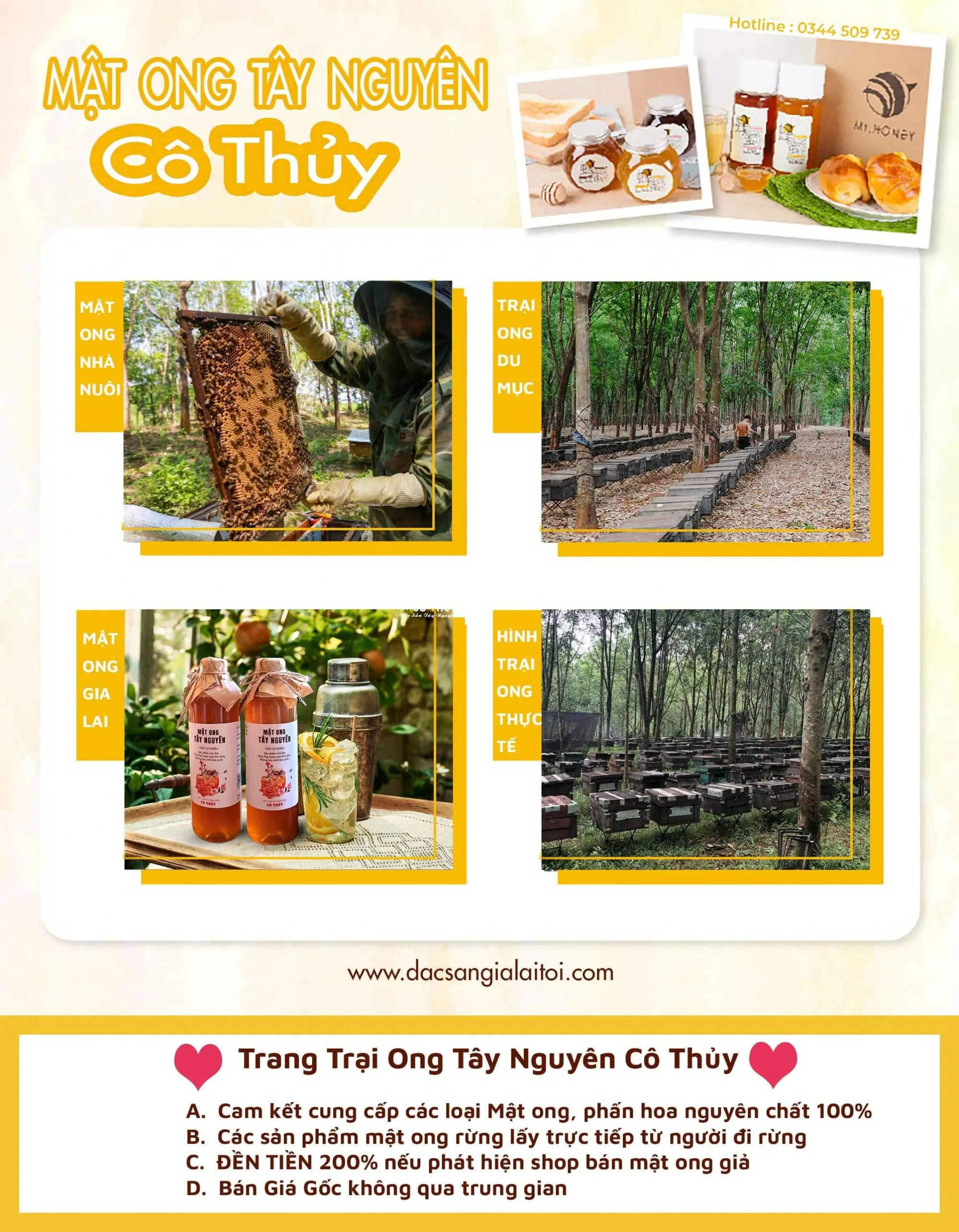 Hình ảnh thực tế tại trại ong tây nguyên Hình ảnh thực tế tại trại ong tây nguyên