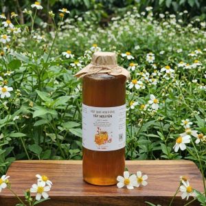 1 Lít Mật Ong Hoa Rừng Tự Nhiên Gia Lai [Giá Tốt]