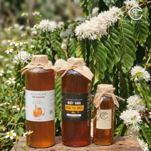 Mật Ong Hoa Cà Phê Nguyên Chất Gia Lai - (1000ml)