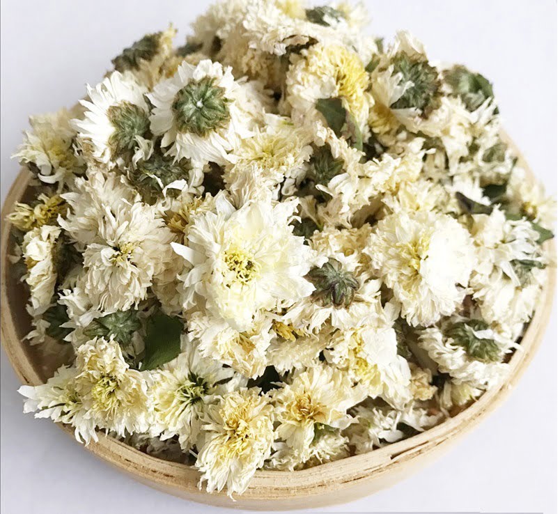 Trà hoa cúc trắng (Bạch cúc)