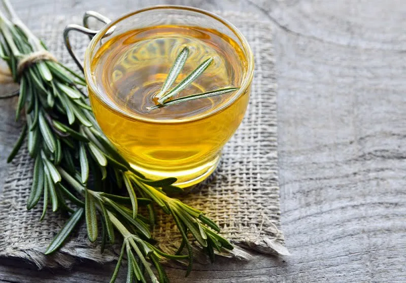 Trà hương thảo Trà hương thảo