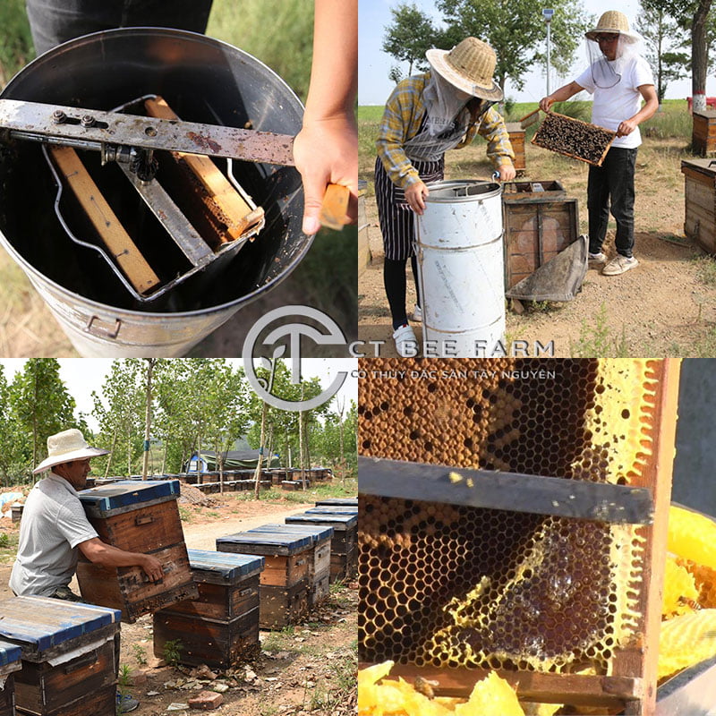 Mật ong nguyên chất tận gốc từ trang trại