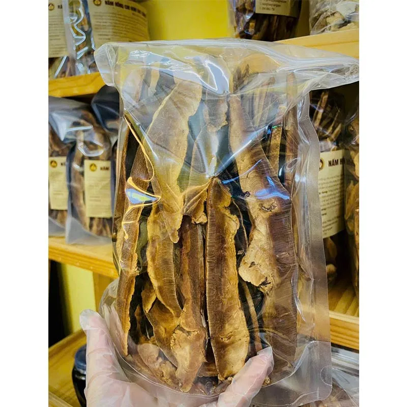 Nấm Hồng Chi Rừng Kon Chư Răng Gia Lai Nấm Hồng Chi Rừng Kon Chư Răng Gia Lai