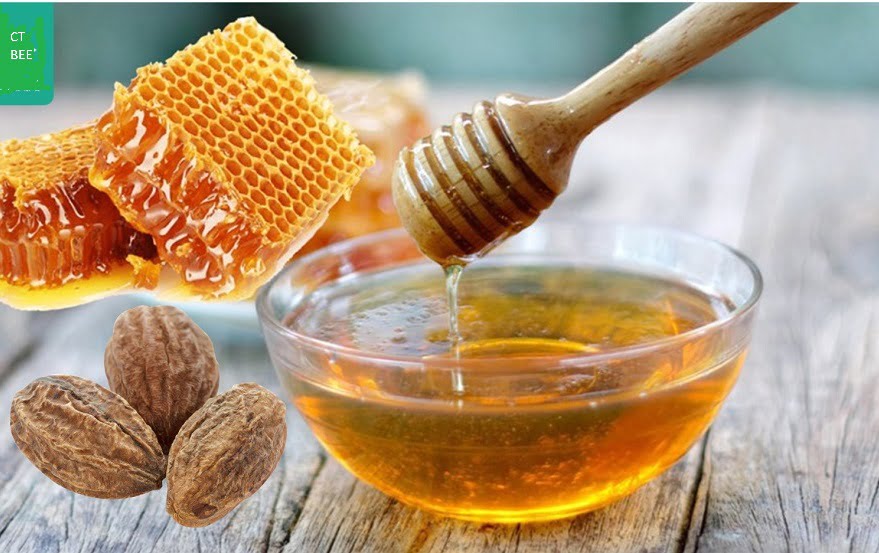 Tác dụng của quả kha tử ngâm mật ong đối với sức khỏe
