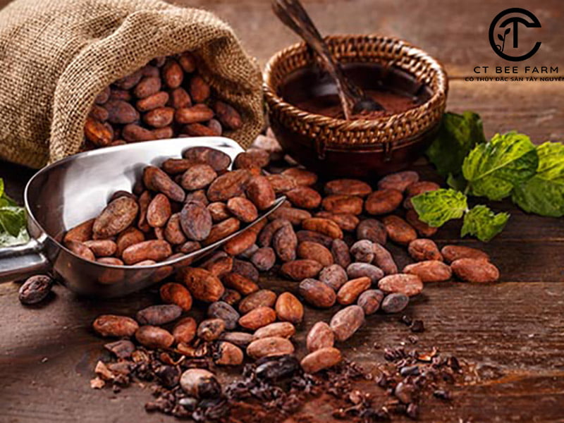 Hạt Cacao