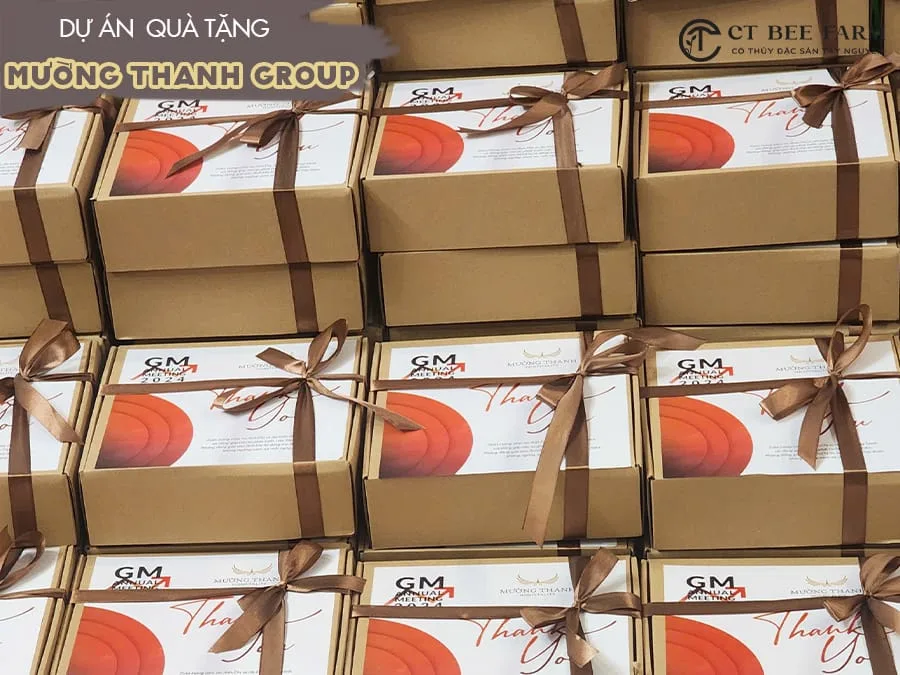 Những dự án hộp quà tặng nông sản CT Bee thực hiện Những dự án hộp quà tặng nông sản CT Bee thực hiện