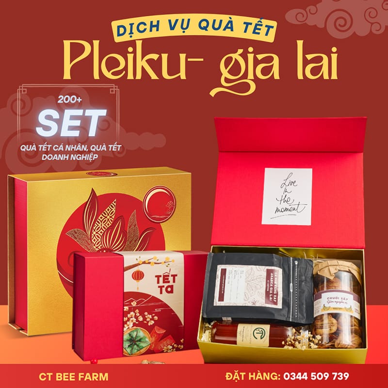 TOP 4 địa chỉ bán set quà tết tại Gia Lai, Pleiku uy tín