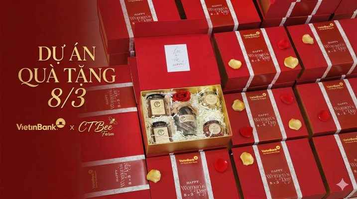 du-an-8thang3-ngan-hang-viettinbank